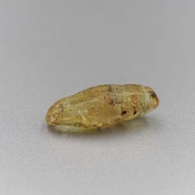 Safír surový krystal 16,87ct Srí Lanka