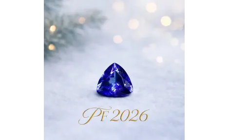 Veselé Vánoce - PF2026