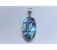 Abalone/Paua mušle